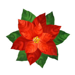 25 Holiday Luncheon Poinsettia