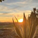 Winter 26 Retreat Sunset Dana Fehrenbach